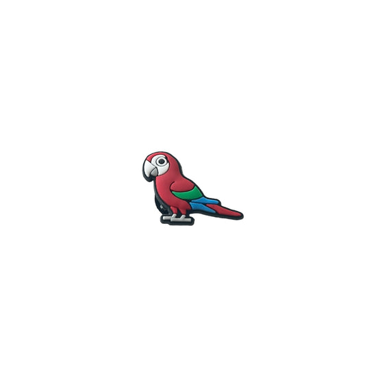 Parrot Bird