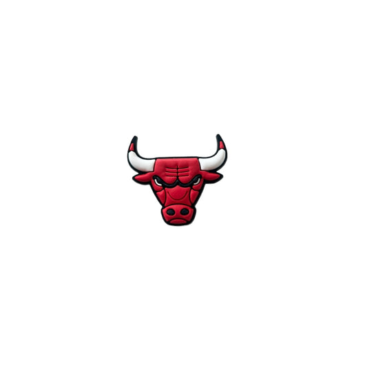 Chicago Bulls